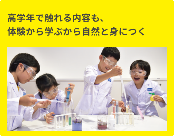 高学年で触れる内容も、体験から学ぶから自然と身につく