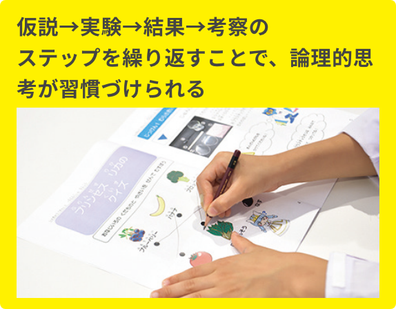 仮説→実験→結果→考察のステップを繰り返すことで、論理的思考が習慣づけられる