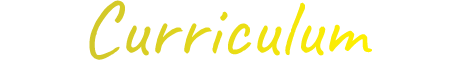 Curriculum