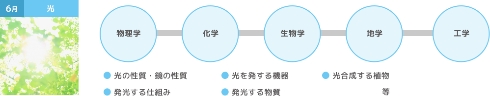 カリキュラムの一例