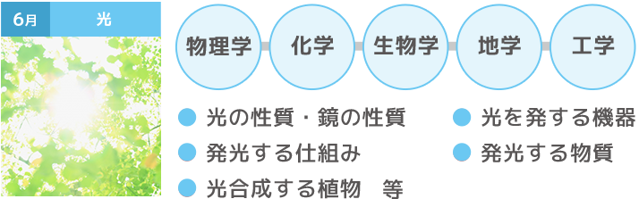 カリキュラムの一例