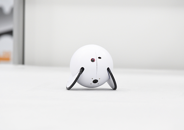 ロボティクスプロフェッサーコース　修了生　鳥山 樹君（18歳）