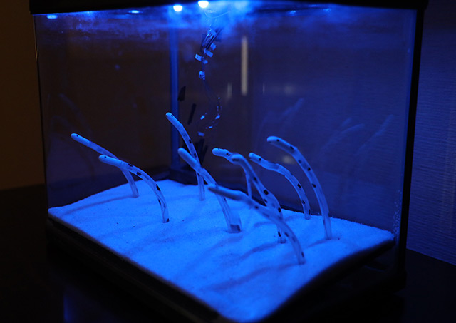 福岡県 中間教室/中学3年生（14歳）<br>山本 蒼也（やまもと そうや）さん